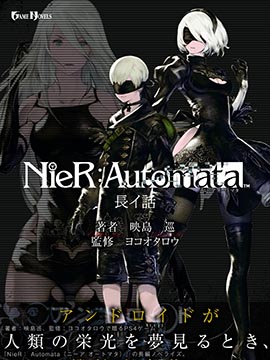 NieR Automata